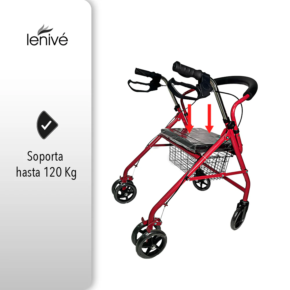 Imagen del producto 6