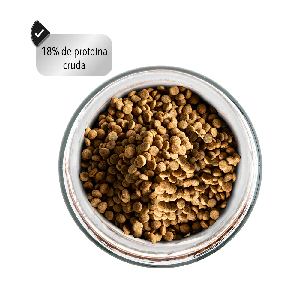 Imagen del producto 8