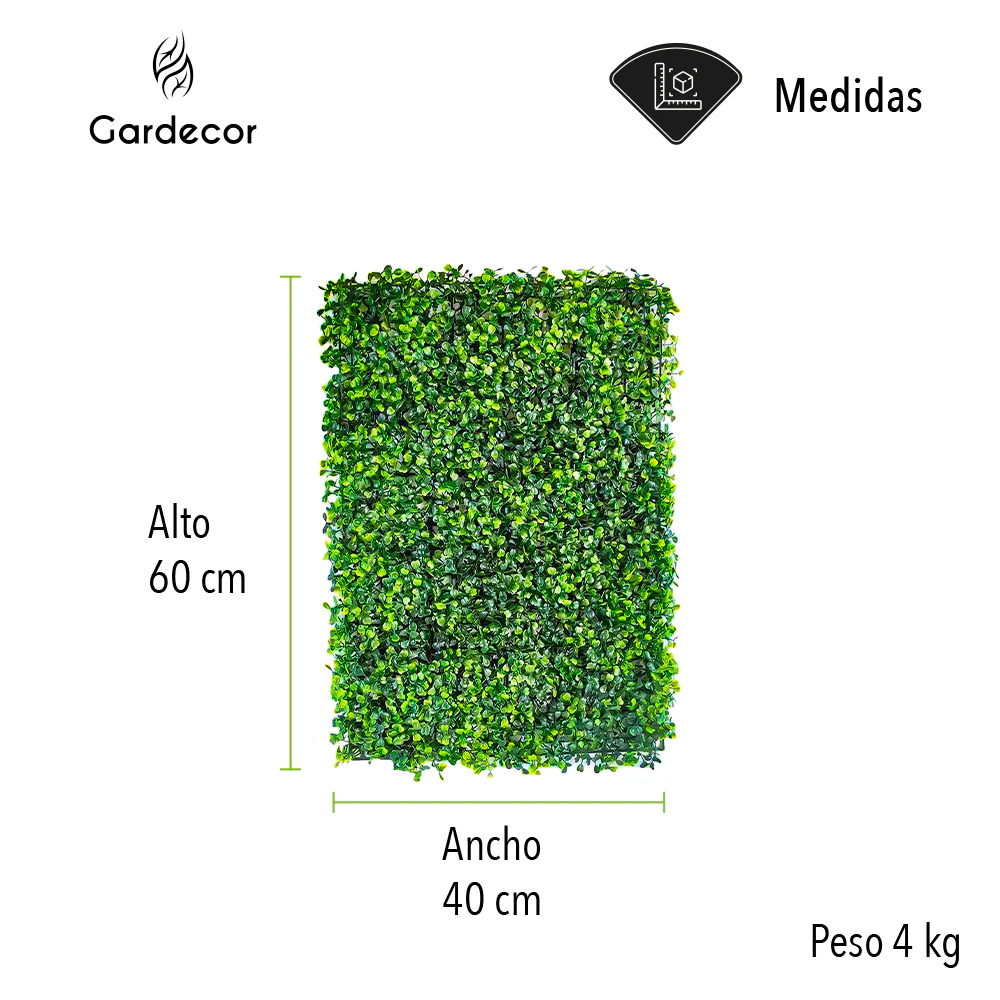 Imagen del producto 3